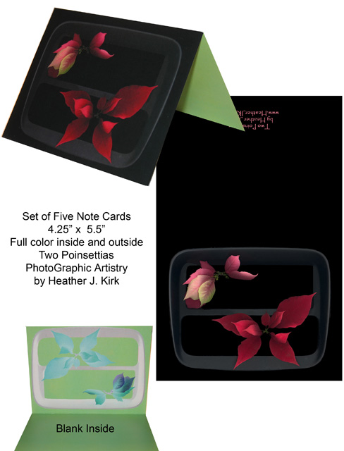 Two Poinsettias Notecard - Set of 5